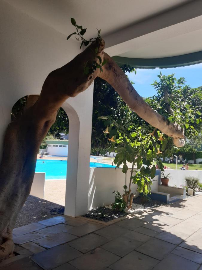 Apartamento Da Avo Te - Em Frente A Praia C Piscina Portimao Exterior photo